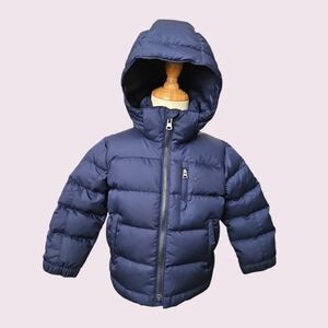 Polo Ralph Lauren Navy Blue Puffer Jacket Size 2 Toddler with Snap-off Hood